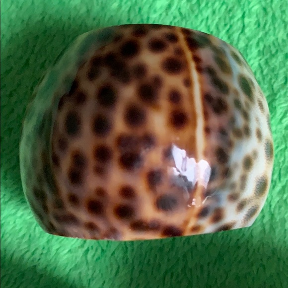 Vintage Seashell set of 7 napkin rings - Picture 6 of 16